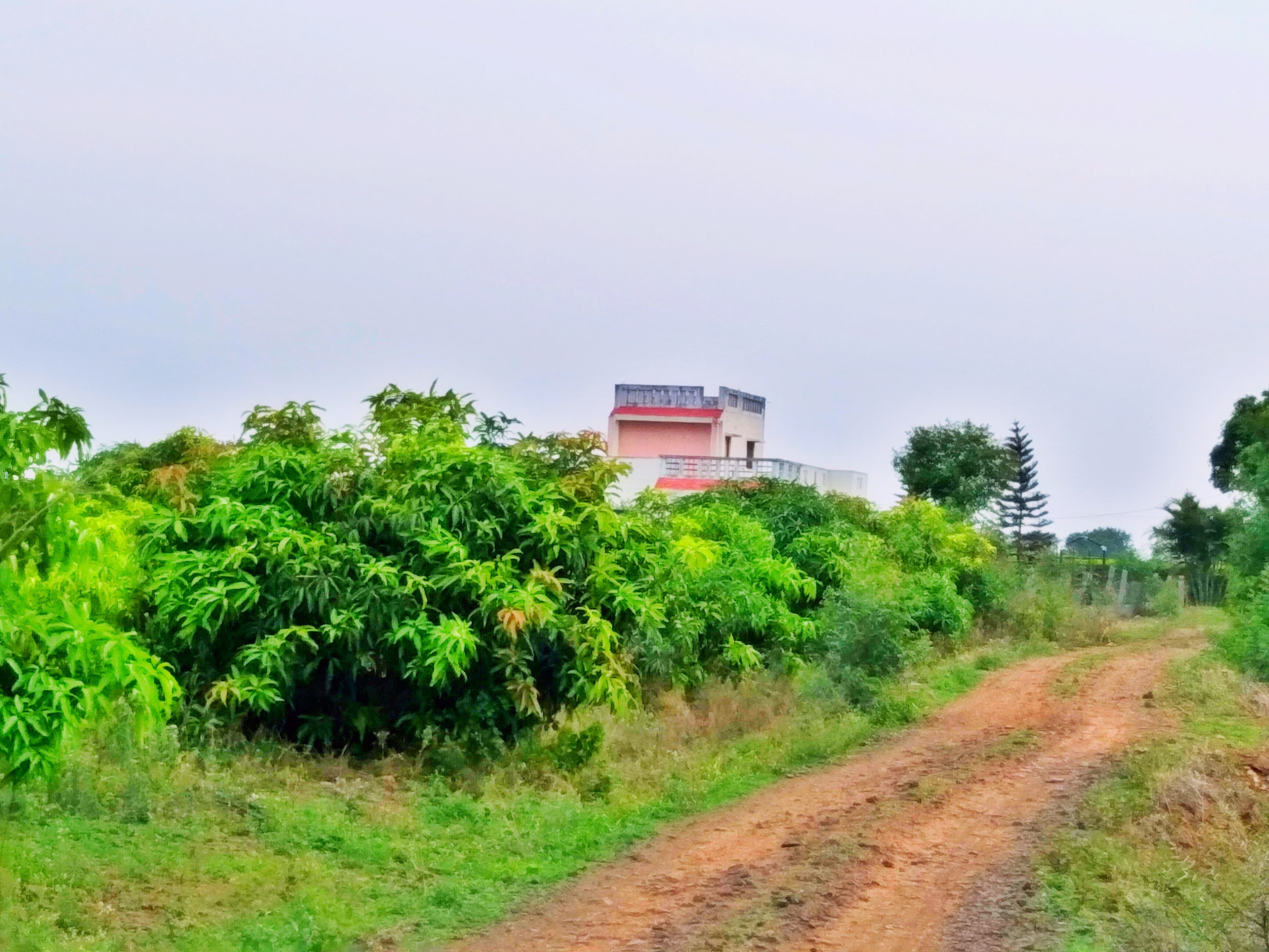 Farm Workers