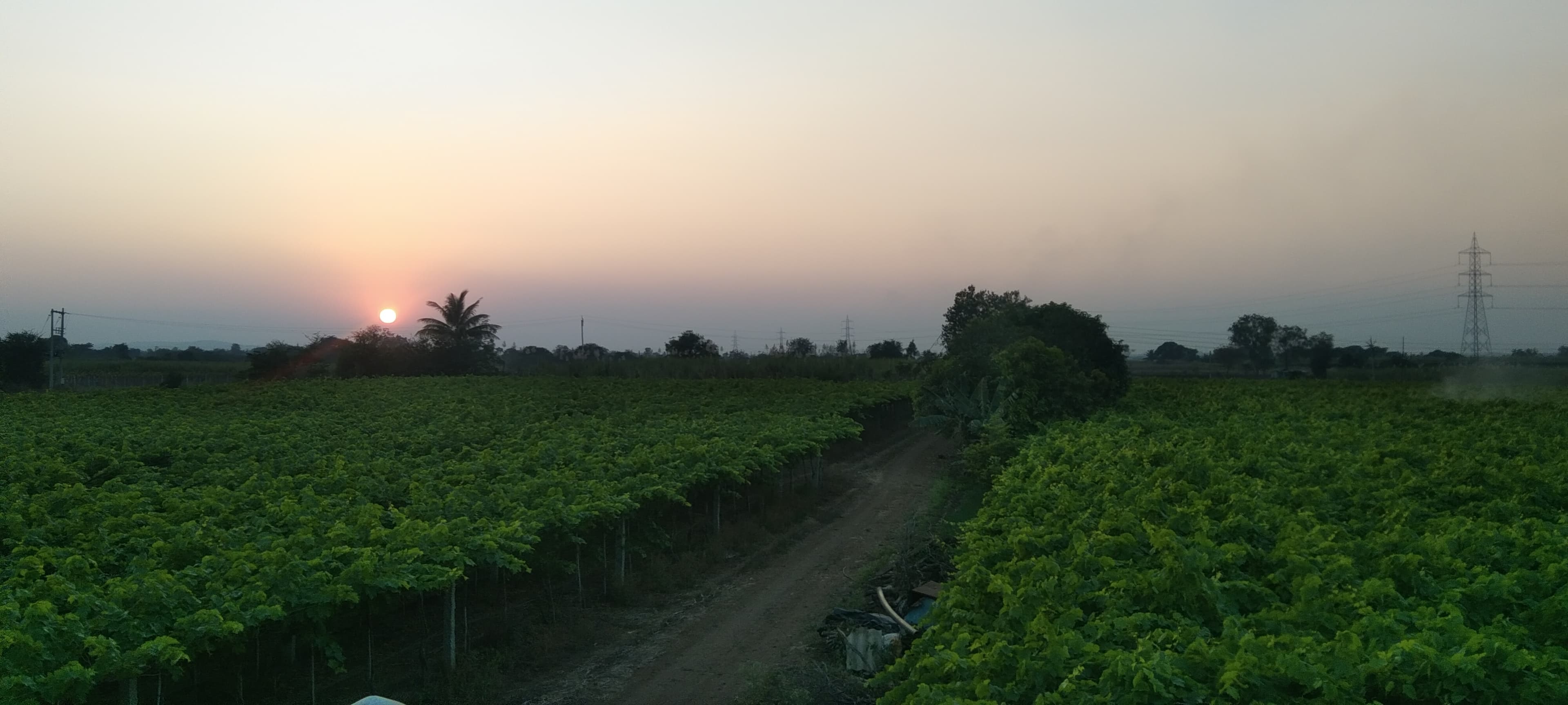 Farm Products