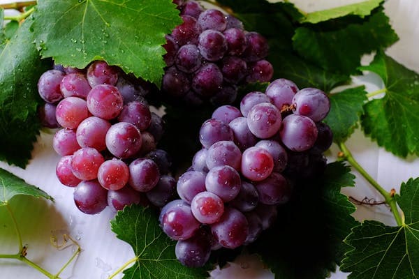 Grape Juice